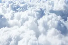 Knochenersatzmaterial